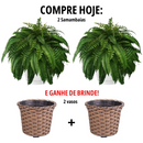 [COMPRE 1, LEVE 2] Plantas Artificiais Realista + Brinde - Naturallis