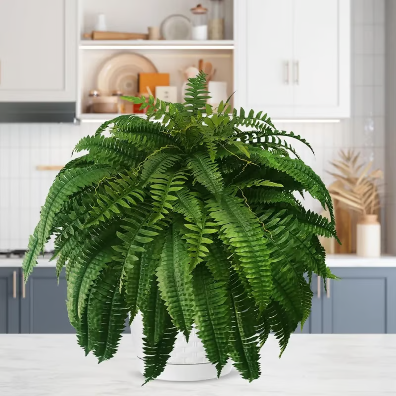 [COMPRE 1, LEVE 2] Plantas Artificiais Realista + Brinde - Naturallis