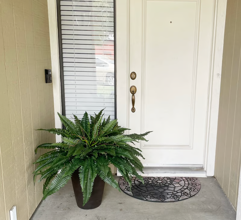 [COMPRE 1, LEVE 2] Plantas Artificiais Realista + Brinde - Naturallis